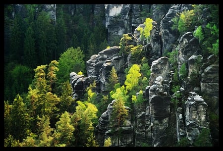 rock_formations - nature, colors, trees, rocks