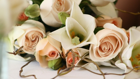 Wedding Roses - roses, flowers, white, petals