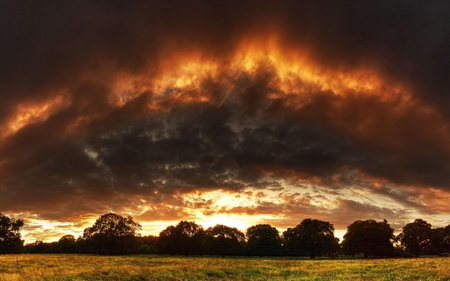 Sunset Clouds - clouds, horizon, trees, scenery, grass, sunset, nature, beautriful, view, field, sun, sky