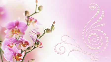 Orchid - scroll, pearls, exotic, orchid, flower, firefox persona, pink