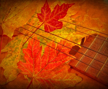 Music of autumn - autumn, abstract, orange, leaves, music