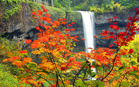 Autumn Waterfall - season, autumn, mountain, peaceful, waterfall, beautiful, splendor, leaves, rock, colors