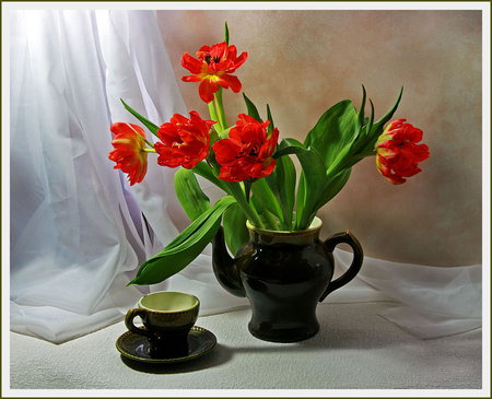 STILL LIFE - nature, tulips, flowers, red