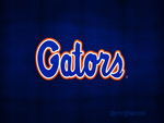 the florida gators