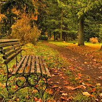 Sit and enjoy the autumn afternoon