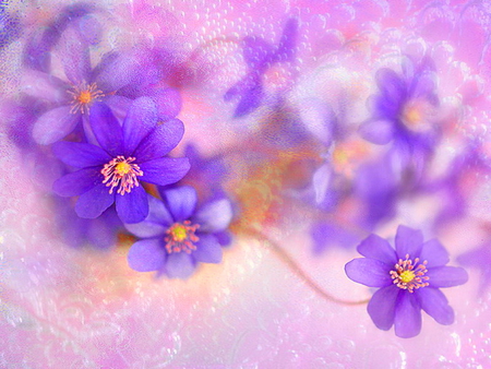 Floral theme - purple, lila, floral, delicate, theme, flowers