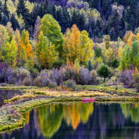 Reflection-HDR