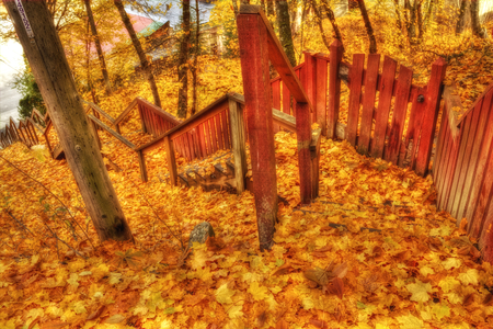 Golden autumn-HDR - nice, beauty, season, autumn, trees, photography, great, calm, amazing, view, ladders, pretty, yellow, cool, walk, hdr, park, lovely, gold, nature, forest, beautiful, leaves, steps, colors