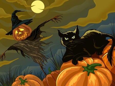 Halloween night - holiday, october 31, cat, moon, halloween, pumpkin