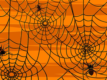 Spiders - spider, holiday, halloween, orange, october 31