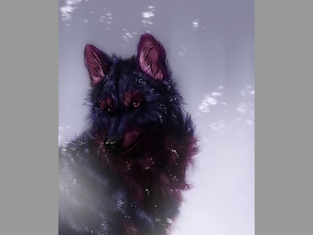 First Snow - wolf, art, snow, wallpaper, first snow