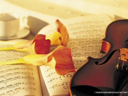 Violin - violin, beauty, flowers, musical notes, cup