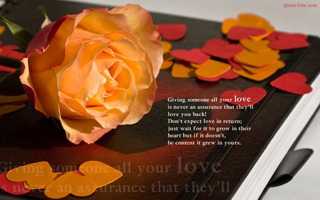 Memories - book, rose, quote, hearts, orange