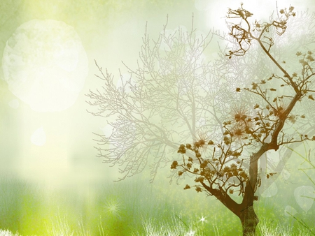 Mist - nature, tree, drawing, amist