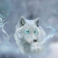 Wolf in the mist