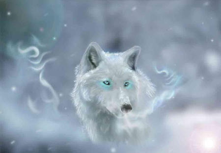 Wolf in the mist