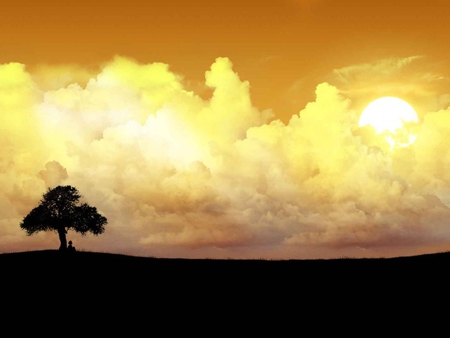 Sunshine - cloud, sky, tree, sunset, nature, sunshine