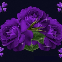 PURPLE FLOWERS & HEARTS