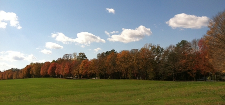 Autumn Colors - fall, autumn, trees, clouds, field