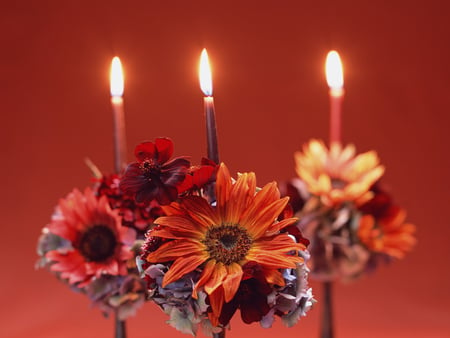 Romantic candle - red, candle, flower, light, gerbera