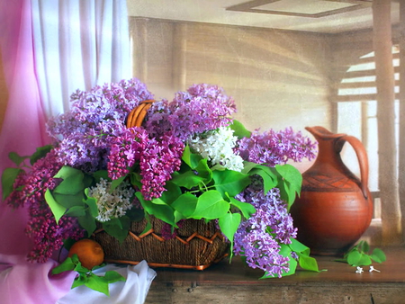 The scent of lilacs - white, lilacs, purple, pitcher, green leaves, table, flowers