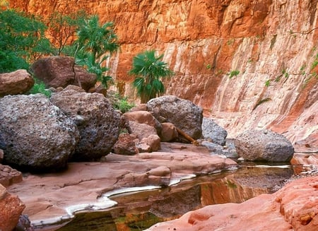 Cliff - palms, nature, rocks, cliff