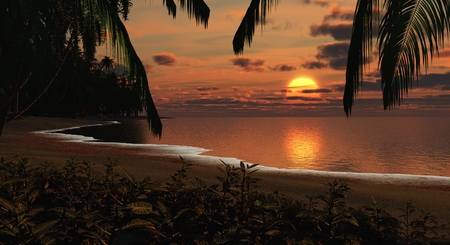 Sunset - sea, palms, sunset, nature