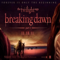 Breaking Dawn 11/18/11