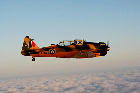 T6 Havard - airplane, t6j, plane, north, american, at6, ww2, texan, classic, t-6j, harvard, t6, antique, wwii, t-6