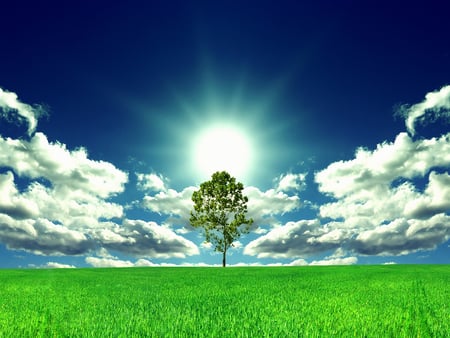 A Bright New Day.... - clouds, green, bright, sunshine, grass, tree, grassland