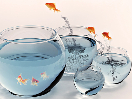 fishfun - art, jumping, bowl, fishfun, wallpaper, fantasy