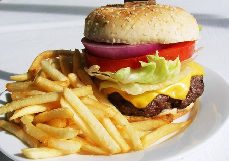 TASTY BURGER - nice, fast, amazing, chicken, cool, beautiful, yammy, food