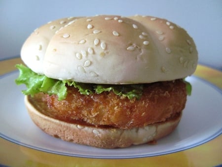 SIMPLE BURGER - fast, chicken, yammy, amazing, beautiful, food, nice, cool