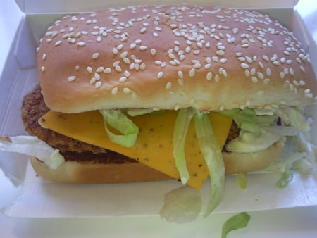 TASTY BURGER - fast, yammy, cool, nice, beautiful, food, amazing, chicken