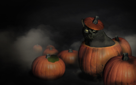 Happy Halloween! - black cat, cat, pumpkin, ghosts, black, happy halloween, pumpkins, halloween, cats, dogs, fog, spooky