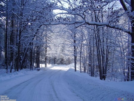 Snowed road - winter, nature, road, snow