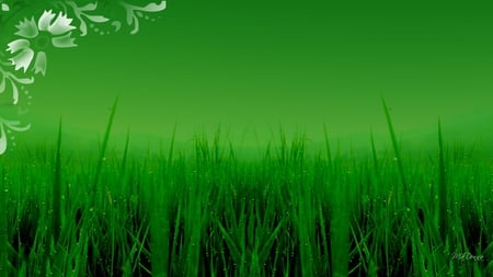 Green Green Grass of Home - dew, firefox persona, field, floral, abstract, green, grass