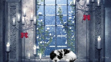 Winters Lights - puppy, candles, light, winter, pup, bright, window sill, cold, window, warm, dog, cozy, snow, blue, firefox persona