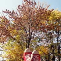 Red shoes/trees