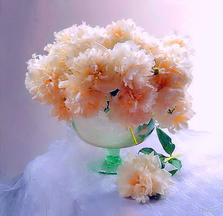 Beauties - white, peonies, pink, table, green, aqua vase