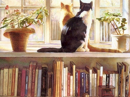 Cats and books - cat, animal, feline, book, kitten