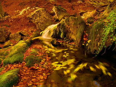 Autumn is the mistress - nature, autumn colors, slope, fall, autumn, colors