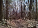 trail in Frederick Co. VA.