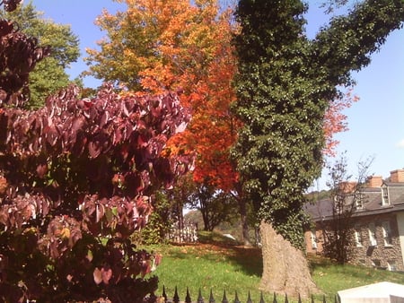 fall in Harpers Ferry - houses, trees, red, orange, green