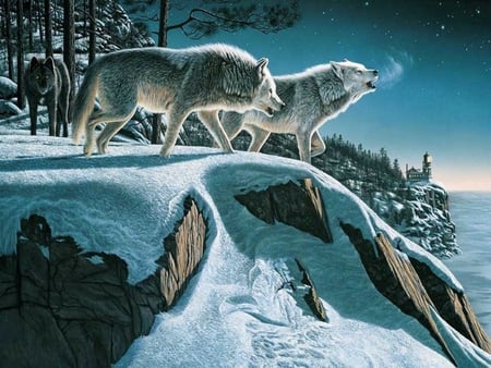 A WOLVES WINTER - animals, wolves, cold, moonlight, paintings, xmas and new year, wildlife, forests, winter, lovely, nature, love four seasons, holidays, forest, snow, beautiful, colors