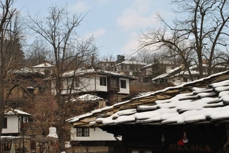 Winter in Bojenci - pretty, winter, photo, village, season, old, white, houses, nice, roof, photography, trees, nature, snow, bulgaria