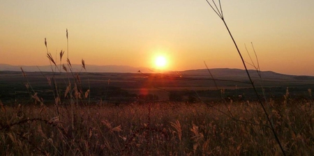 Field Sunset - pretty, beautiful, photo, sun, sky, photography, field, sunset, nature, mountain, bulgaria