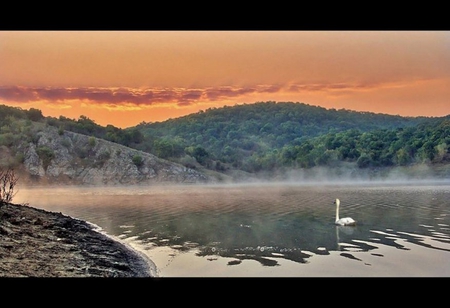 Aheloy Dam - bird, calm, swan, forest, photo, mountain, sky, clouds, trees, water, fog, beautiful, photography, beauty, nature, sunset, bulgaria, dam