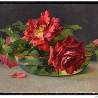Roses
