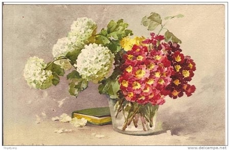 Flowers - vase, book, petals, hydrangeas, catherine klein, flowers, white, red, painting, art